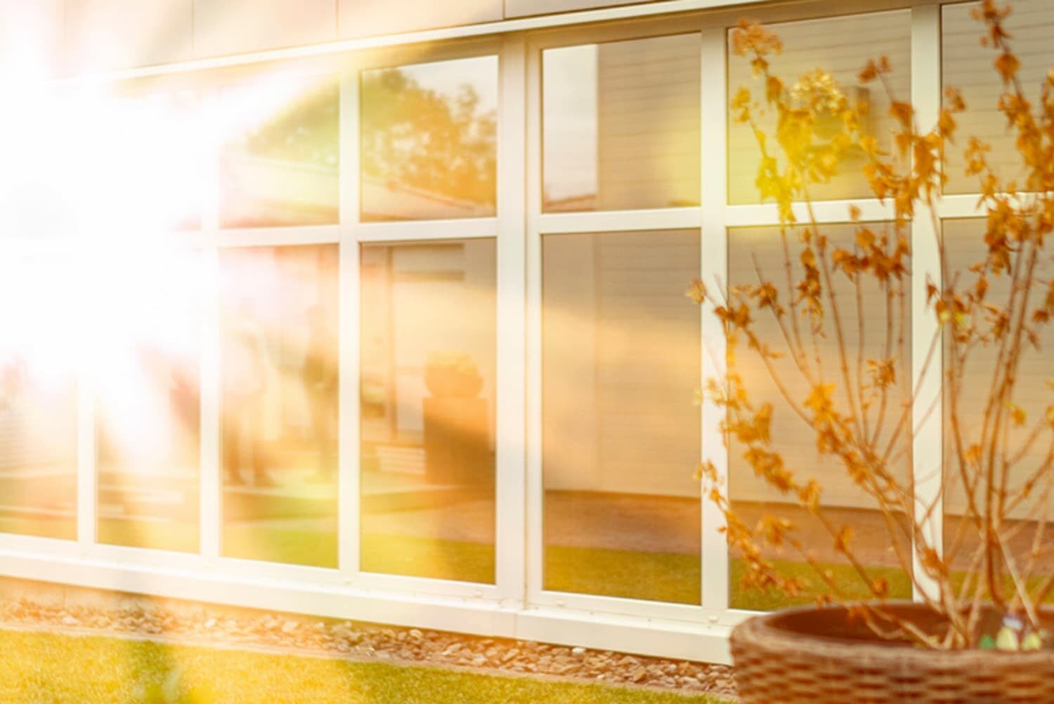 Tergumed 700 Trainingsreihe-415